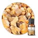 Óleo Absoluto Benjoin Resina - Benzoin Resin 10ML