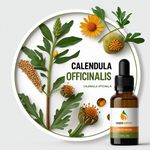Óleo Absoluto Calendula Officinalis Calêndula