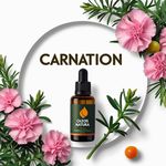 Óleo Absoluto Carnation - Craveiro