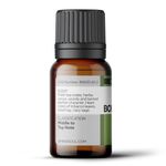 Óleo Vegetal Green Tea - Chá Verde
