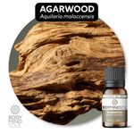 Óleo Essencial Agarwood (Oud) - Aquilaria malaccensis 50ML