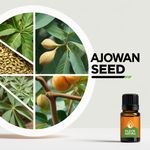 Óleo Essencial Ajowan Seed - Ajowan Sementes