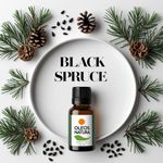 Óleo Essencial Espruce Preto - Black Spruce