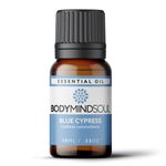 Óleo Essencial CIPRESTE AZUL - BLUE CYPRESS 50ML