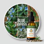 Óleo Essencial Cipreste Azul - Blue Cypress