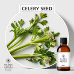 Óleo Essencial Semente De Aipo, SalsÃo - Celery Seed