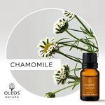 Óleo Essencial CAMOMILA - CHAMOMILE