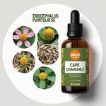 Óleo Essencial Alecrim Selvagem - Cape Chamomile