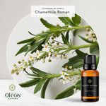 Óleo Essencial CAMOMILA ROMANA - CHAMOMILE ROMAN