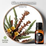 Óleo Essencial CASCA CANELA - CINNAMON BARK