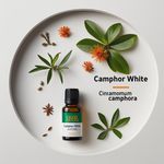 Óleo Essencial CÂnfora Branca - Camphor White