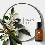 Óleo Essencial Folhas De Cravo- Clove Leaf