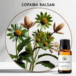 Óleo Essencial BÁlsamo CopaÍba Branca - Copaiba Balsam