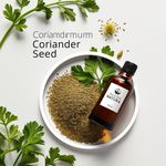 Óleo Essencial Coentro Sementes - Coriander Seed