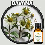 Óleo Essencial Davana - Artemisia Pallens