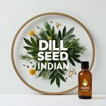 Óleo Essencial ENDRO DILL SEMENTES - DILL SEED INDIAN