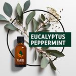 Óleo Essencial Eucalipto HortelÃ - Eucalyptus Peppermint