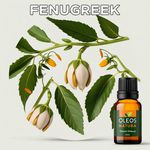 Óleo Essencial Feno Grego - Fenugreek