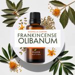 Óleo Essencial OLÍBANO DO DESERTO - FRANKINCENSE OLIBANUM