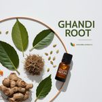 Óleo Essencial RaÍzes De Ghandi - Ghandi Root