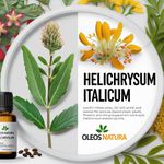 Óleo Essencial SEMPRE VIVA - HELICHRYSUM - IMMORTELLE
