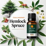 Óleo Essencial Espruce Do CanadÁ - Hemlock Spruce