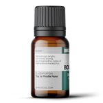 Óleo Essencial HORTELÃ-MENTA ARBUSTIVA - BALM MINT BUSH 5ML
