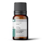 Óleo Essencial HORTELÃ-MENTA ARBUSTIVA - BALM MINT BUSH 5ML