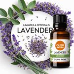 Óleo Essencial LAVANDA - LAVENDER
