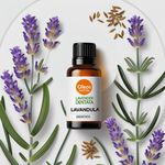 Óleo Essencial LAVANDA DENTATA - LAVENDER DENTATA