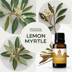 Óleo Essencial LimÃo Murta - Lemon Myrtle