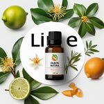Óleo Essencial Lima Mexicana - Lime