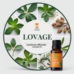 Óleo Essencial LevÍstico - Lovage