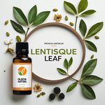Óleo Essencial Mastique - Lentisque Leaf Mastic