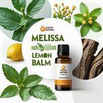 Óleo Essencial Melissa BÁlsamo LimÃo - Melissa Lemon Balm
