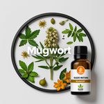 Óleo Essencial Artemisia Moxa - Mugwort