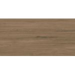 Porcelanato Delta Cambuci Escuro In 53X106