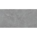 Porcelanato Delta Granada Gray Polido 60X120