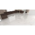 Porcelanato Delta Raggi Oro Polido 60X120