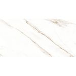 Porcelanato Delta Raggi Oro Polido 60X120