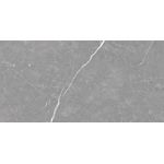 Porcelanato Delta Venato Grigio In 60X120