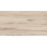 Porcelanato Delta Caja IN 63x120cm