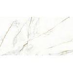 Porcelanato Delta Venedoro Polido 63x120cm