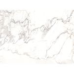 Porcelanato Delta Patagônia Polido 73X100