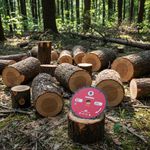 Disco Serra Circular 10'' 250x24z F.30mm Multimaterial Samuray 