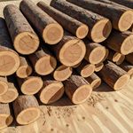 Disco Serra Circular 12'' 300x24z F.30mm Multimaterial Samuray 