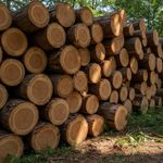 Disco Serra Circular 12'' 350x30z F.30mm Multimaterial Samuray 