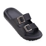 Birken Preto