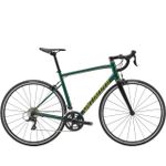 Bicicleta Modelo Allez E5 Sport Tam-54 Verde