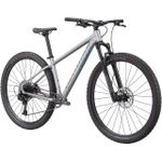 Bicicleta Rockhopper Expert 29 2021 Prata Holográfico Tam-M